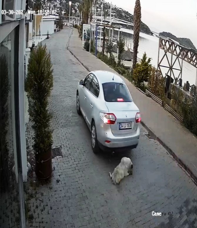 Böyle Vicdansızlık Görülmedi