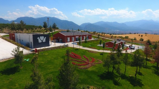 Denizli’de 2 Bin 500 Sokak Hayvanını Sahiplendirdi