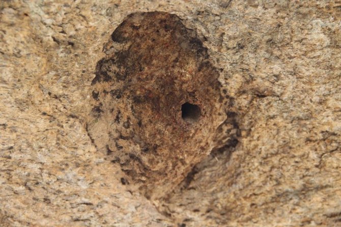 Latmos’un Sıvacısı ‘Çömlekçi’ Kuşu Örnek Alınsın