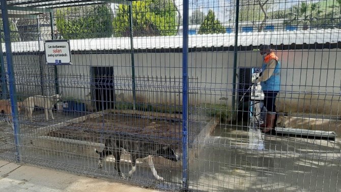 Kuşadası’nda Hayvan Bakım Ve Rehabilitasyon Merkezi Dezenfekte Edildi