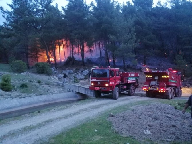 Muğla’da Orman Yangınları Erken Başladı