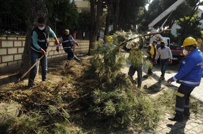 Aydın Büyükşehir Ve Nazilli Belediyesi’nden Ortak Çalışma