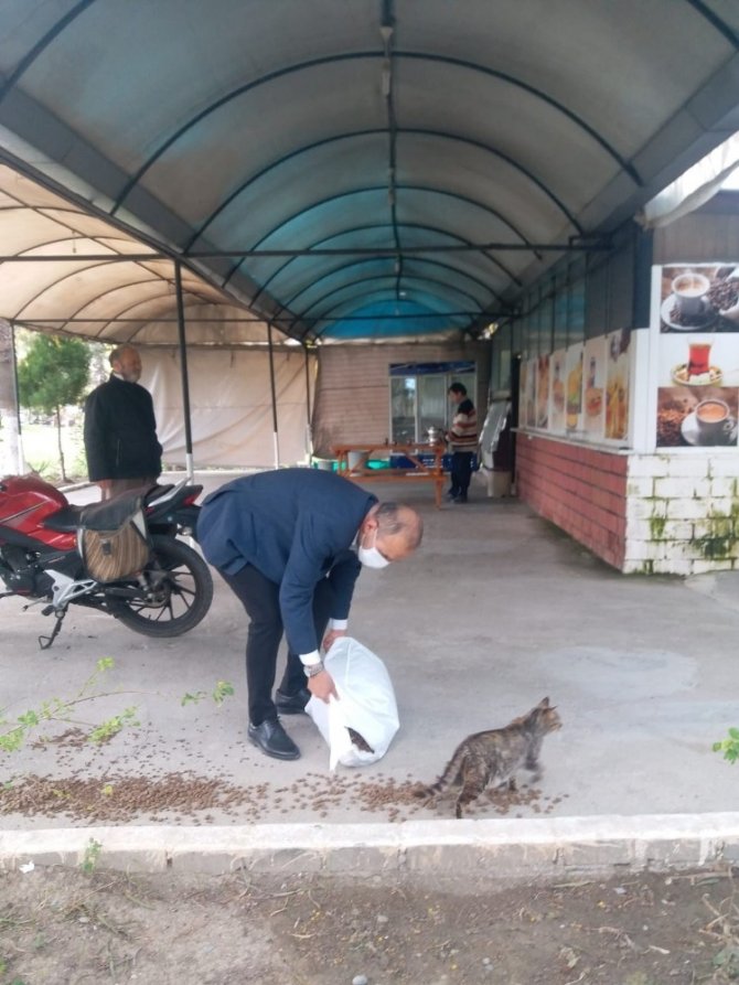 Ortaca’da Sokak Hayvanları Aç Ve Susuz Kalmıyor