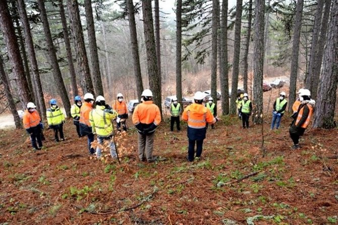 Ormanda İşbaşı Eğitimi