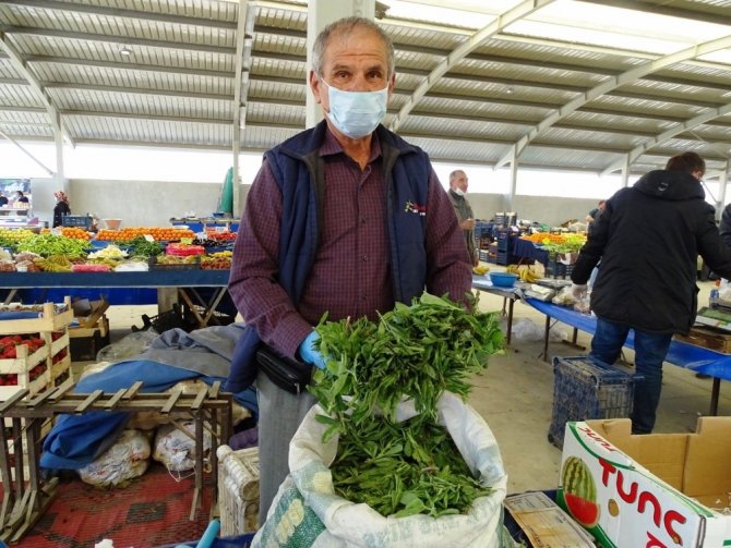 Hisarcık’ta Bitkisel Antibiyotik Madımak Otu Tezgahlardaki Yerini Aldı
