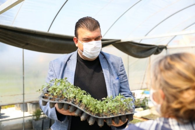 Seferihisar’da 50 Bin Fide Dağıtımı Yapılacak