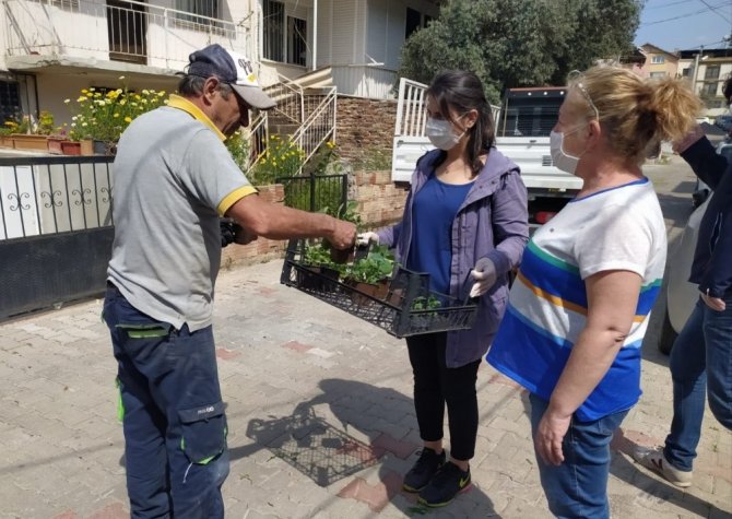 Buca’da Balkon Tarımı Başladı: “Evde Kal, Evde Üret”