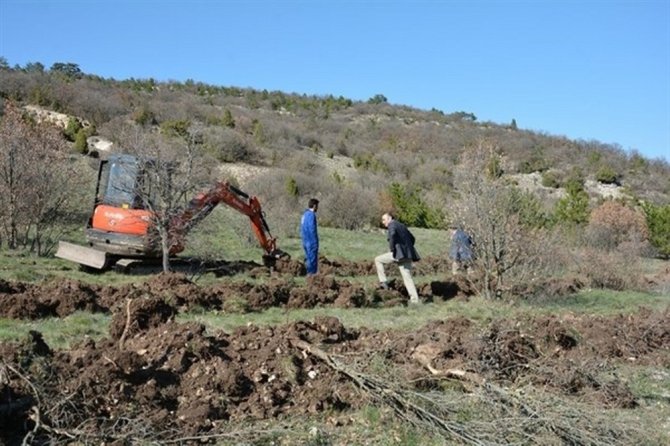 Porsuk Barajı Havzası Ağaçlandırılıyor
