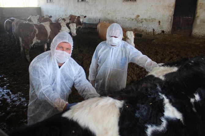 Veteriner Hekimlerin Milli Dayanışması