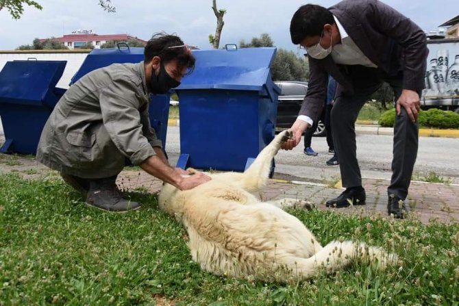 Başkan Özcan; "Her Geçen Gün Daha Da Güçleneceğiz"