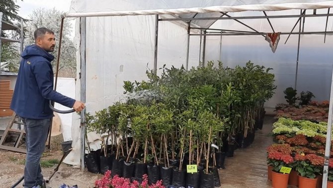 Covid-19 Salgını Çiçeklere Olan İlgiyi Artırdı