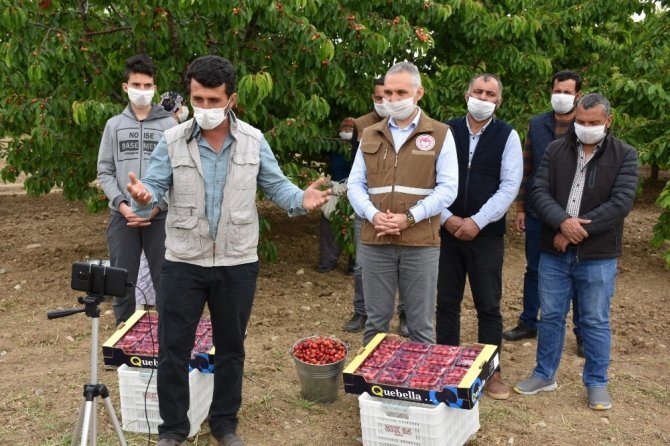 Bakan Pakdemirli Kiraz Üreticileri İle Telekonferansta Görüştü