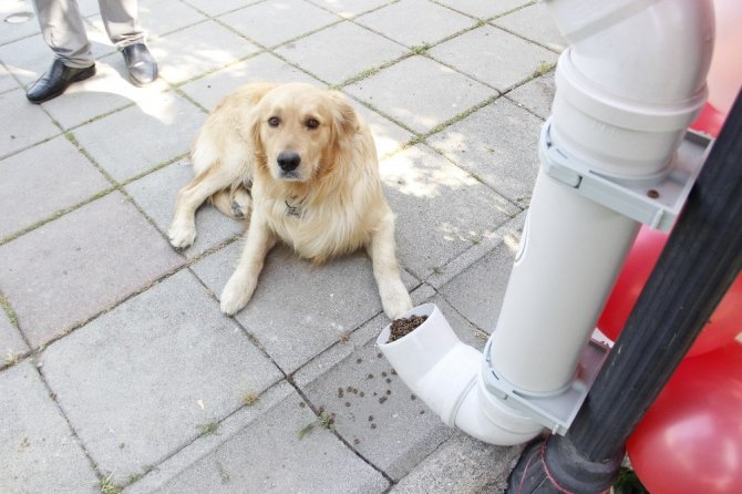 Eski Su Boruları Besleme Noktası Oldu