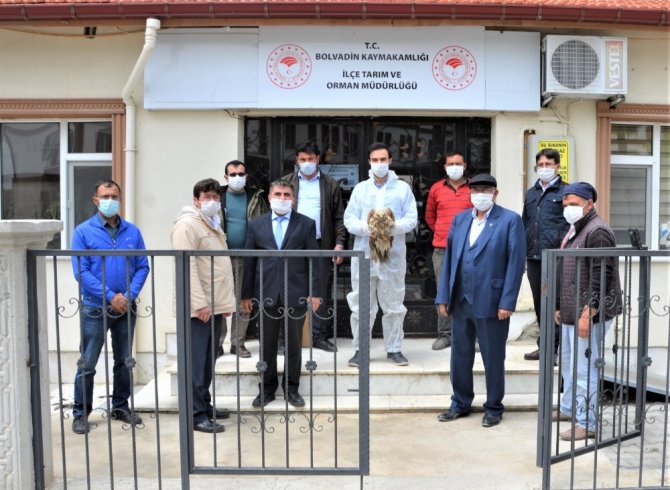 Yaralı Kızıl Şahin Tedavi Altına Alındı