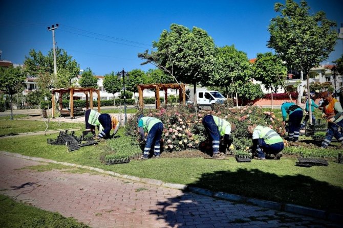 Didim’de Parklarda Yaza Hazırlanıyor