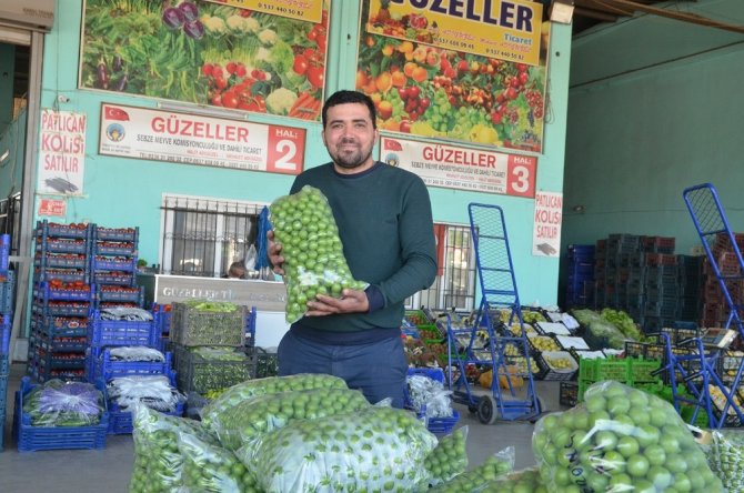 Turgutlu’da Erik Sezonu Hareketli Başladı