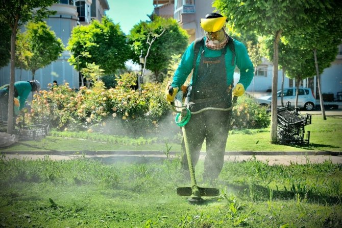 Didim’de Parklarda Temizlik Çalışmaları Sürüyor