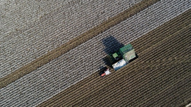 İzmir’de 400 Bin Dekar Tarım Arazisi Sulanmaya Başladı