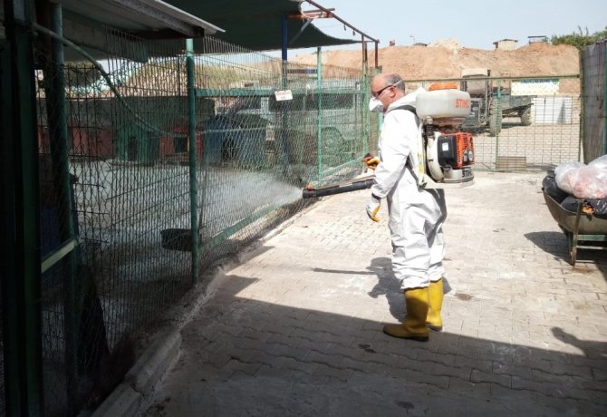 Turgutlu Belediyesi Can Dostları Unutmadı