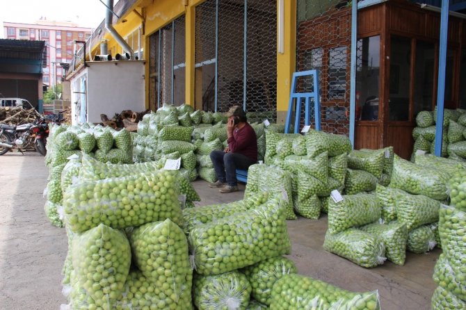 Aydın’da Erik Üreticisine Tat Vermedi