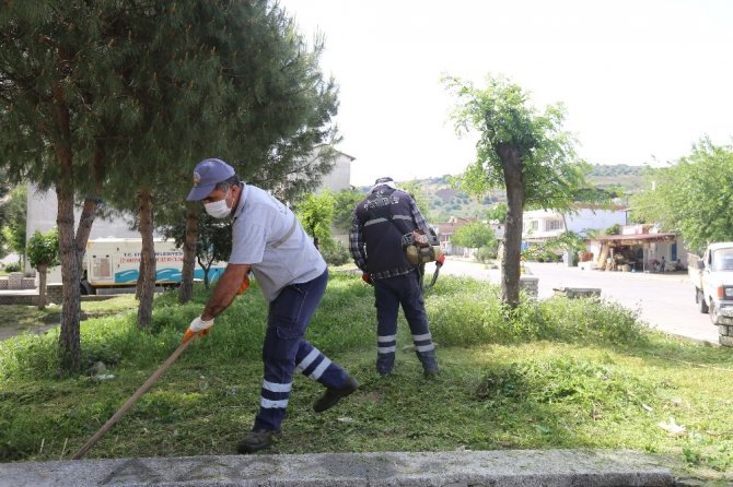 Efeler’de Yeşil Alanların Bakımı Devam Ediyor