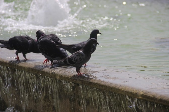 İzmir’de Sıcak Hava Rekor Seviyede
