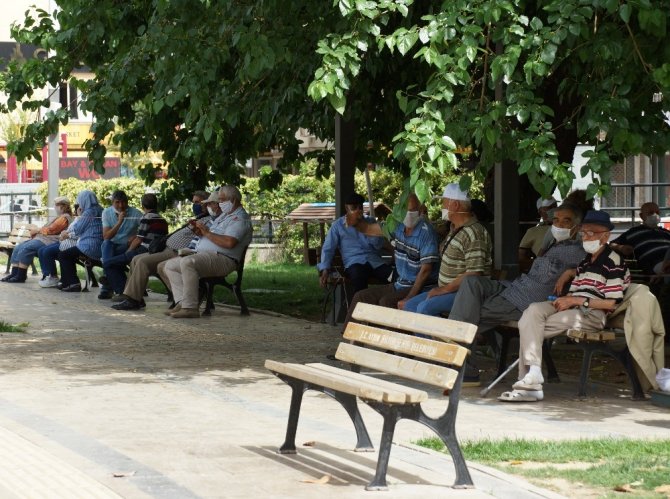 Ağaç Gölgeleri Yaşlılara Korunak Oldu