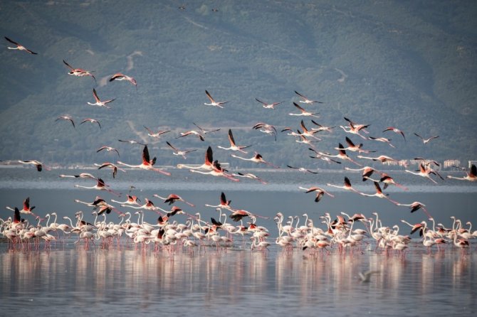 Gediz Deltası’nın Güney Kesimine ‘Doğa Rotası’