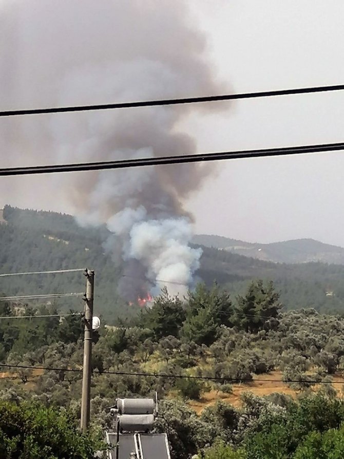 Muğla’da Orman Yangını