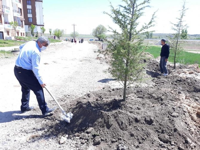 Altıntaş’ta Ağaçlandırma Çalışmaları