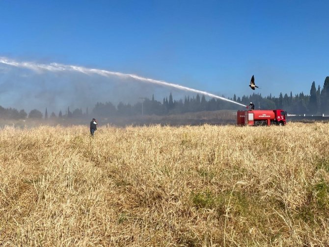 Tarım Arazisinde Yangın