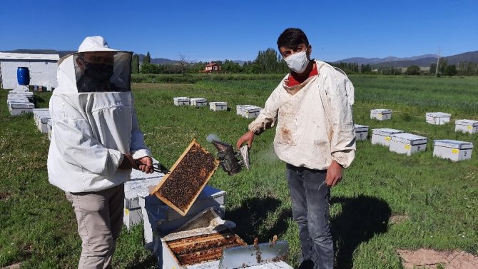 Arıcılar Bayram Mesaisinde