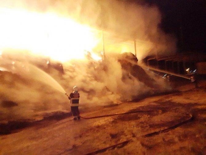 Aydın’daki Çiftlikte Samanlar Alev Aldı