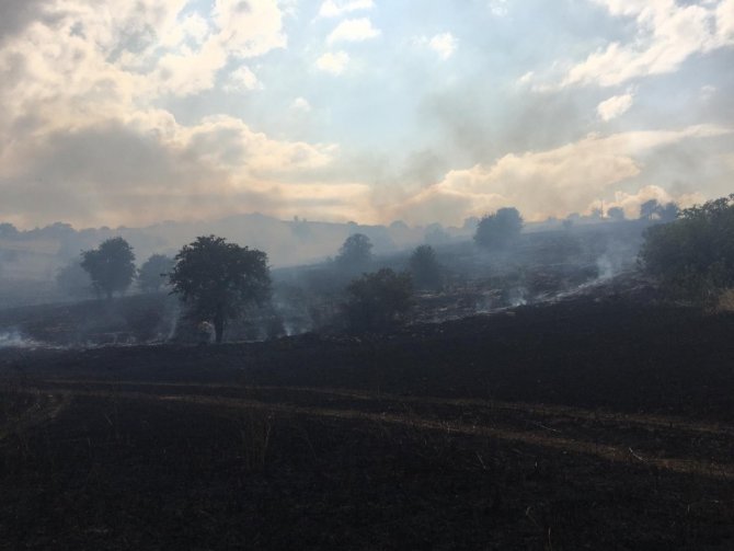 İzmir’de Ekin Tarlaları Küle Döndü