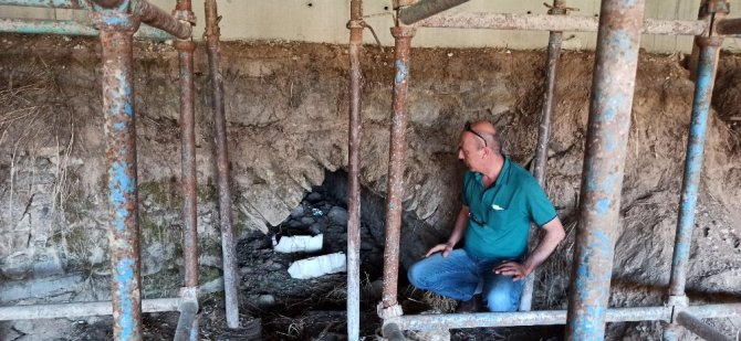 İnşa Sırasında Ortaya Çıkan Tarihi Köprüye Koruma