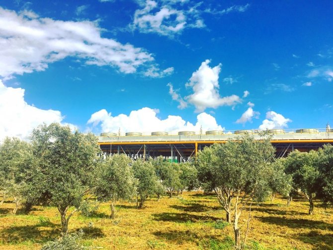 Jesder Başkanı Şentürk: "Aydınlıları Jeotermal Kaynaklarımızla Isıtmaya Hazırız"