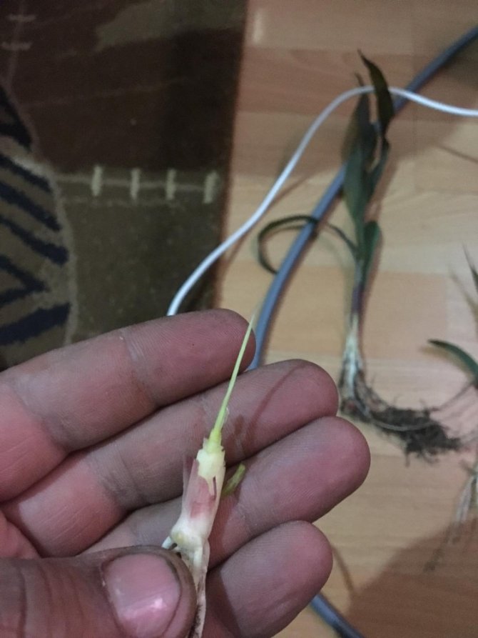 Öğretim Üyesi Üreticileri Uyardı