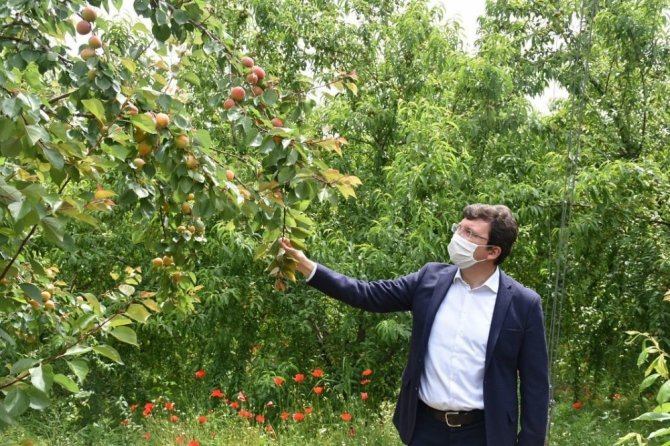 Dışarda Kaymakam, İçerde Öğrenci