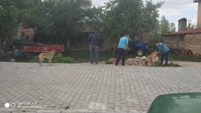 Aslanapa’da Sokak Hayvanları Unutulmadı