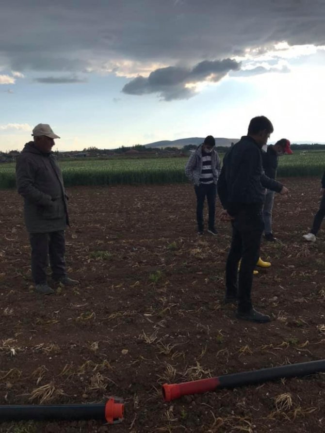 Başkan Hikmet Koyak: "Çiftçinin Zararı Büyük"