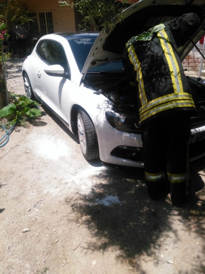 Dikkatli Sürücü Motor Bölümüne Giren Yılanı Son Anda Fark Etti