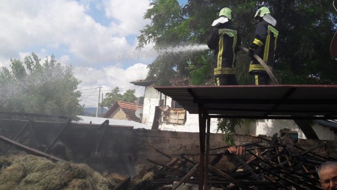 Yangının Ortasında Kalan İneği İtfaiye Ekipleri Kurtardı