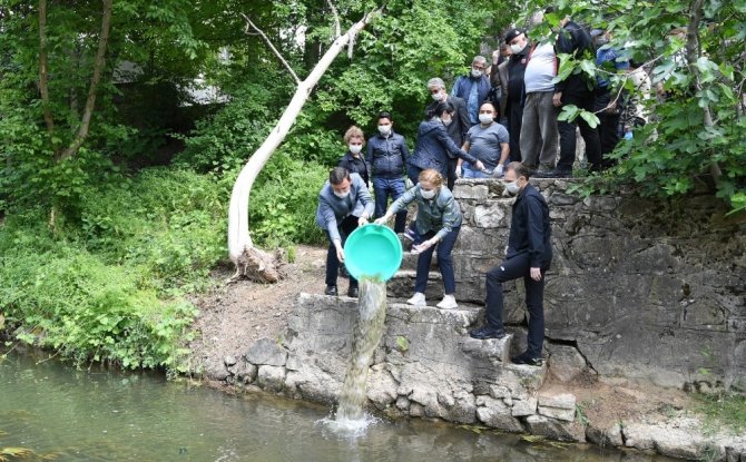 Uşak’taki Sinek Sorunu 100 Bin Kurbağayla Çözülecek