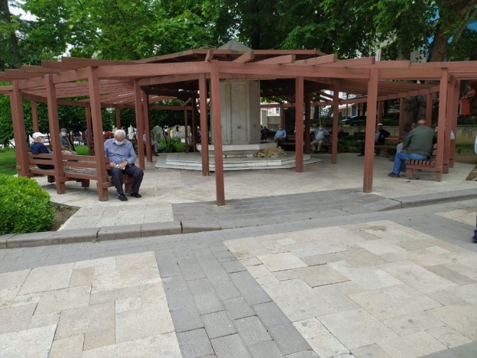 65 Yaş Üstü Vatandaşlar Üçüncü Defa Sokakta