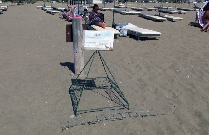 Korona Virüs Deniz Kaplumbağalarına Yaradı