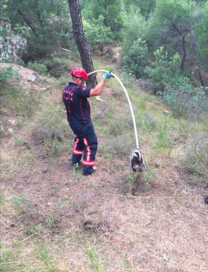 Düştüğü Kuyudan İtfaiye Ekipleri Kurtardı
