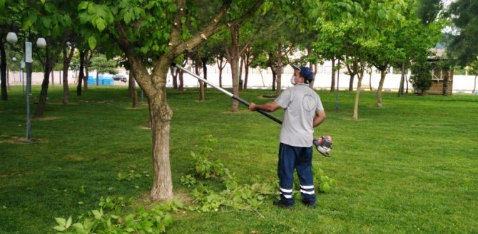 Yunusemre’de Parkların Bakımı Yapılıyor
