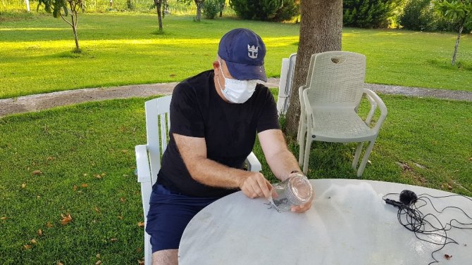 Geyik Böceği Bu Kez İzmir’de Görüldü