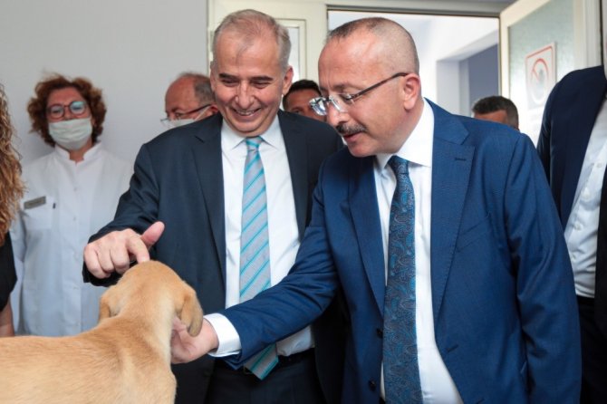 Vali Atik, Sokak Hayvanlarını Sahiplenme Çağrısında Bulundu