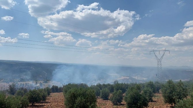 Denizli’de Ormanlık Alanda Ki Yangında 50 Hektar Zarar Gördü